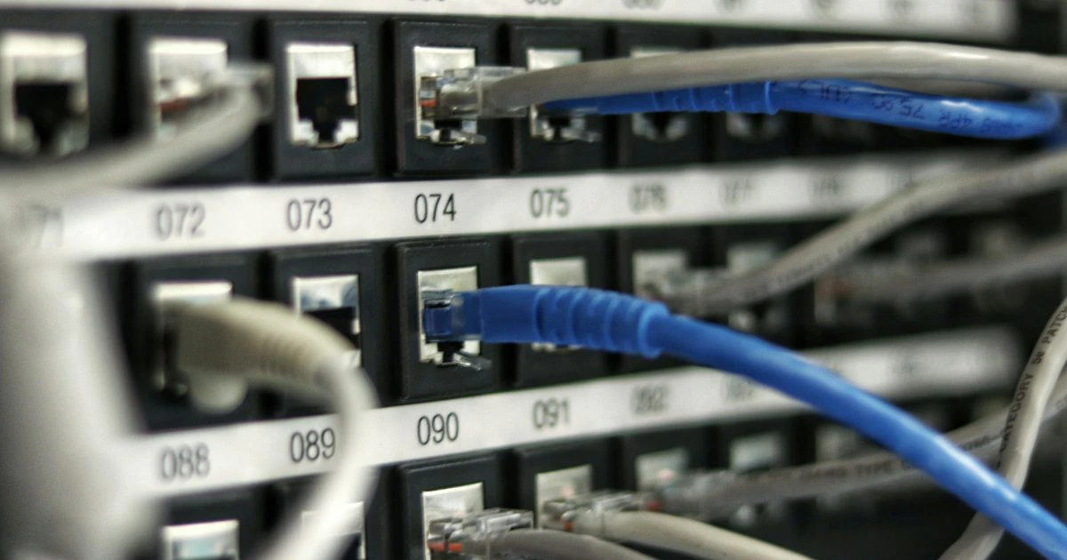 Blue fiber optic network cables carrying high-speed data